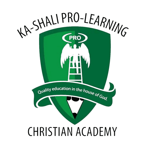 Pro-Learning Christian Academy